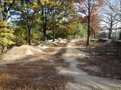 jumps and pump-track.jpg